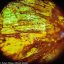 Mikroskop Levenhuk Rainbow 50L PLUS Ametyst 69101