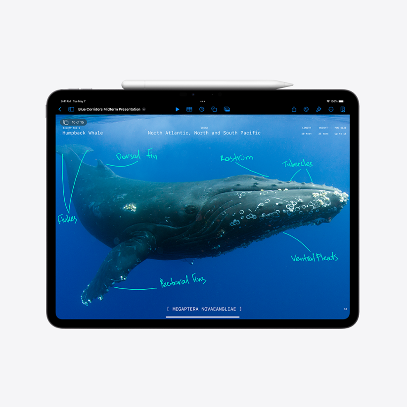 iPad Pro 13" Wi-Fi 2TB sklo s nanotextúrou - Kozmický čierny (2024)