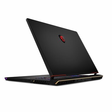 MSI Raider GE78 HX 14VHG černá / 17" QHD+ / i9-14900HX 2.2GHz / 32GB RAM / 2TB SSD / Nvidia GeForce RTX 4080 12GB / W11H (9S7-17S151-822)