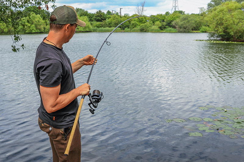 Fox kaprový prut Horizon X3 Varianta: Cork 12 ft 3 lb 50 mm očko (CRD290)