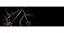 Celoodpružené kolo KTM SCARP 294 29 2022 Černá L (172-184 cm)