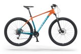 Levit Notos 5 2022 Průměr kol: 29", Výška rámu: (19" = 48 cm), Velikost rámu: L: SKLADEM