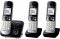 Panasonic KX-TG6823GB + 2 sluchátka / Bezdrátový analogový telefon / DECT / 1.8" displej / tel. seznam 100 záznamů (KX-TG6823GB)