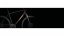 Dámské krosové kolo KTM X-LIFE 1964 CROSS 28 2023/2024 Černá S (165-169 cm)