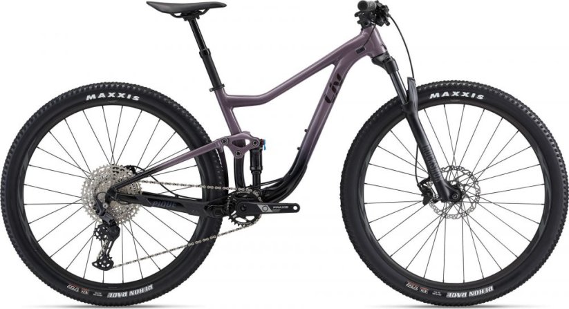 Liv Pique 29 2 2023/24 Průměr kol: 29", Výška rámu: (19" = 48 cm), Velikost rámu: L: SKLADEM